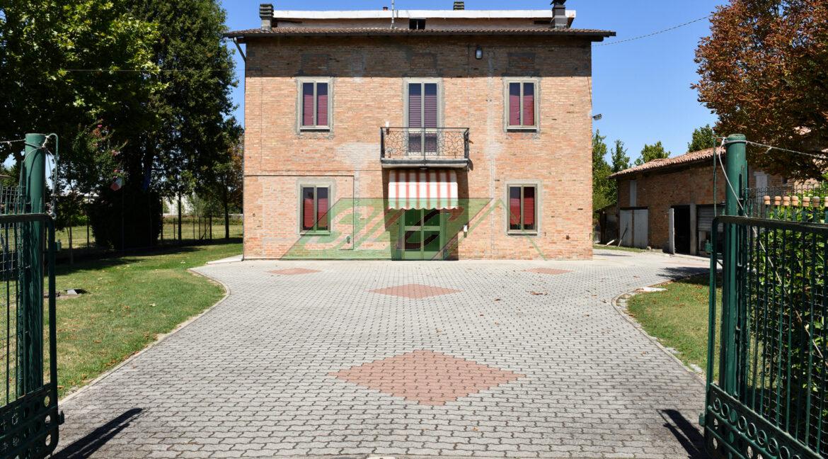 29