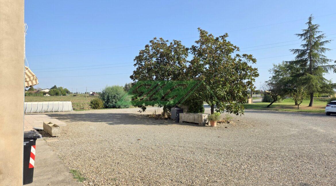 23