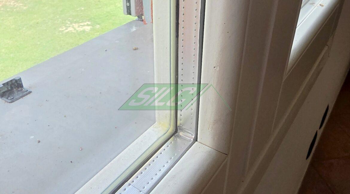 31